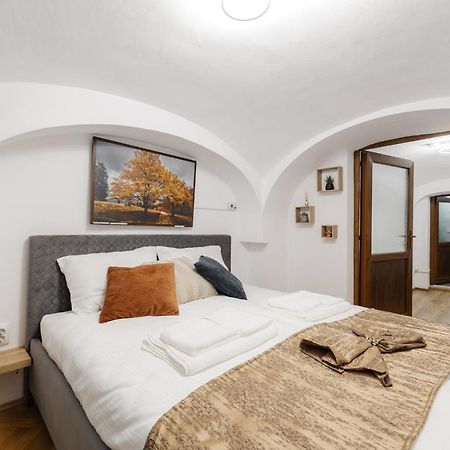 Downtown Cio Apartment Sibiu Eksteriør billede