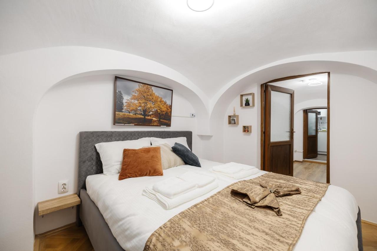 Downtown Cio Apartment Sibiu Eksteriør billede