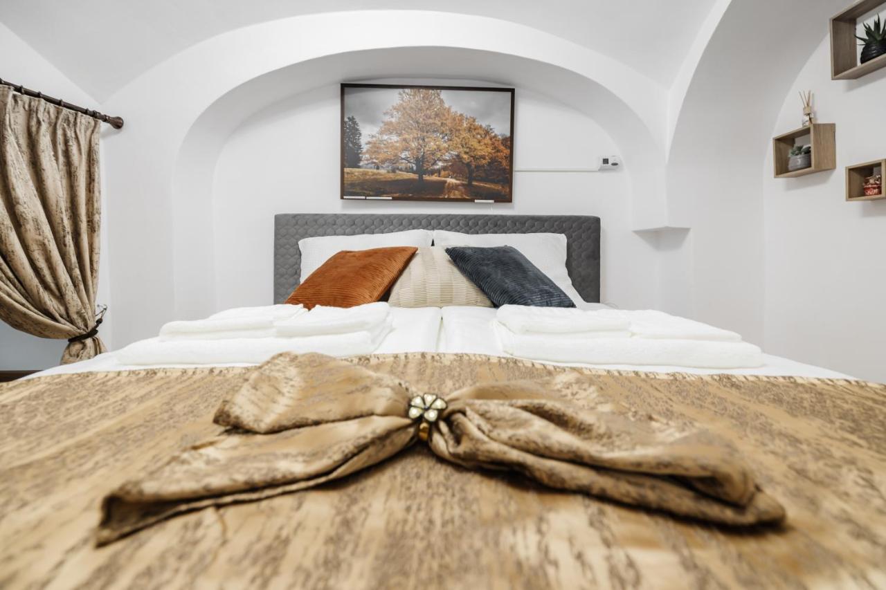 Downtown Cio Apartment Sibiu Eksteriør billede