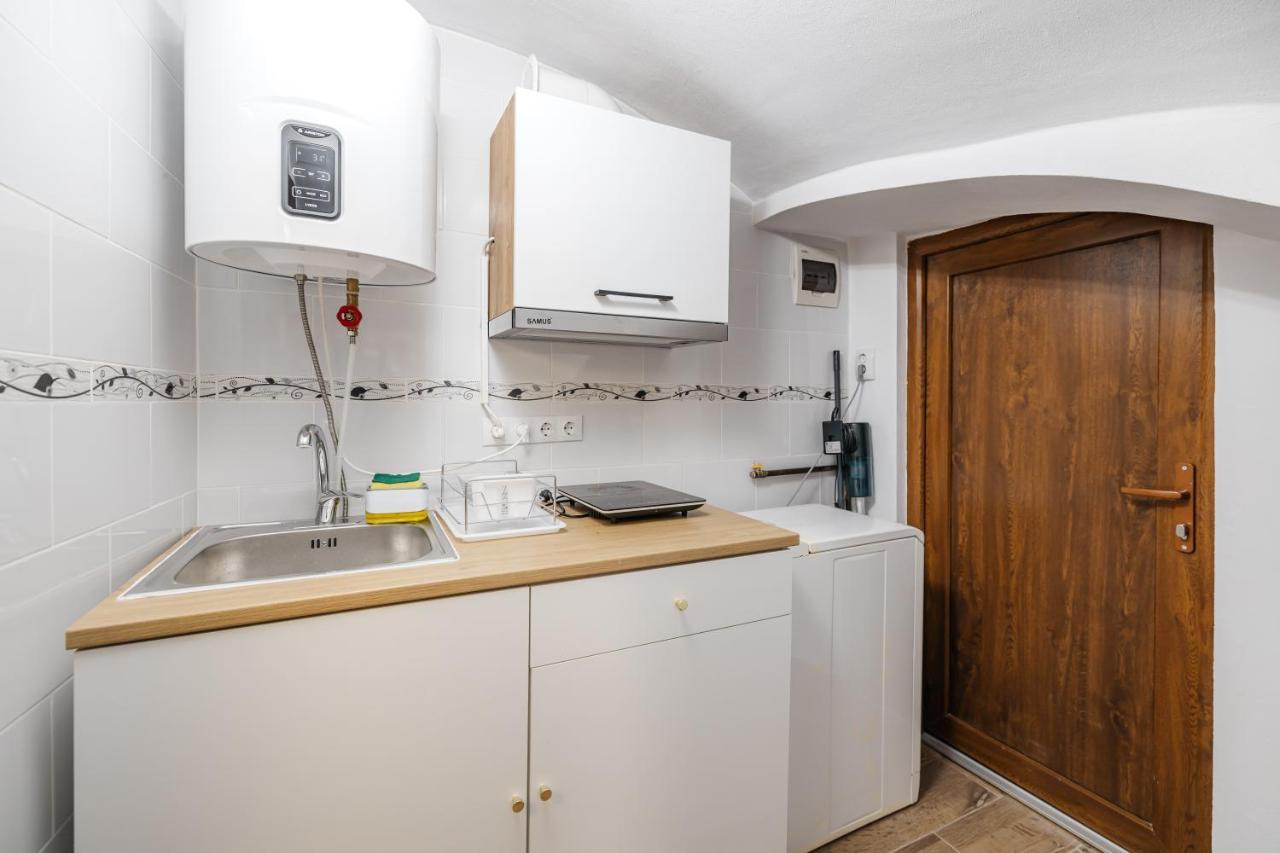 Downtown Cio Apartment Sibiu Eksteriør billede